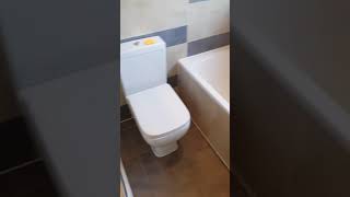 Album cover: Bathroom Renovation 1