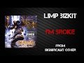 Limp Bizkit - I'm Broke [Lyrics Video]