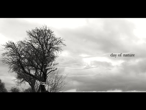 Andy Cermak - Day of Nature (oficial video)