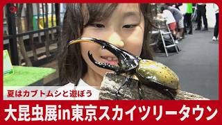 大昆虫展in東京スカイツリータウン 夏はカブトムシと遊ぼう