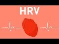 Everything You Should Know About Heart Rate Variability HRV