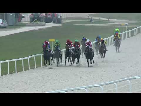 2017.10.22. 2. futam - NYERETLENEK VERSENYE (V.kat.) (szintetikus pálya)