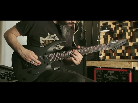 STONE COLD DEAD - The Black Snake | Guitar Playthrough