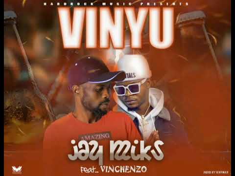 Jay Miks Feat Vinchenzo  "Vinyu"(BEER) (Official Audio)