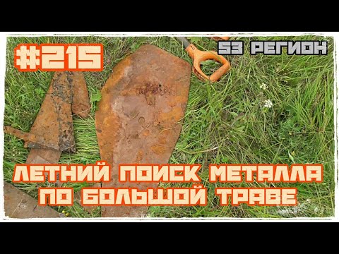 Летний поиск металла по большой траве МеталлоКОП 2023