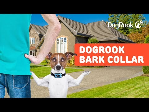 DogRook Humane Bark Collar - Train Your Dog Not To Bark!