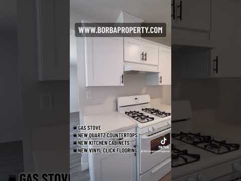 GD2919 (NEW) (Imp.) - Video 2 of 2