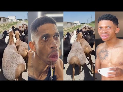 William last krm new comedy so funny 