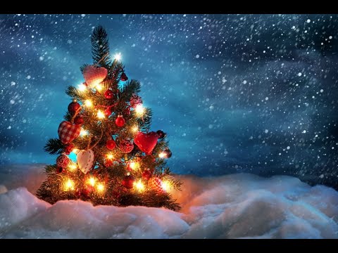 Pawłowscy & Rudzińscy - Wśród nocnej ciszy