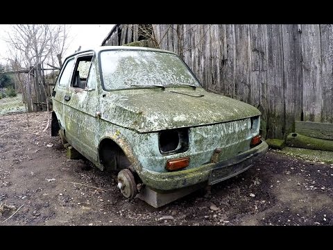 Roncsok 6. - Kispolszki ❤️