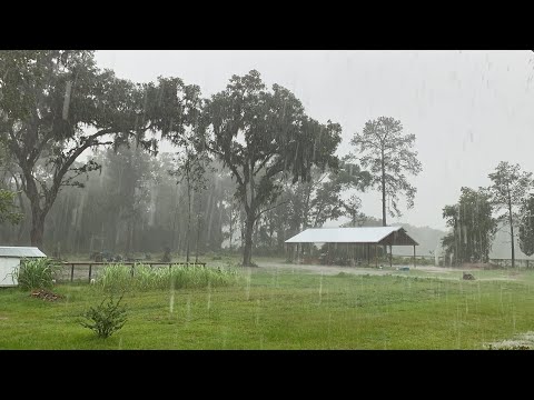 We survived Tropical Storm Elsa!