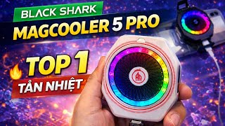 Black Shark Magcooler 5 Pro - TOP 1 Tản nhiệt sò lạnh 2025