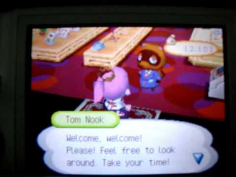 Animal Crossing Wild Word - Perfect town / Room Tour / Flower Fest