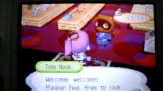 preview picture of video 'Animal Crossing Wild Word - Perfect town / Room Tour / Flower Fest'