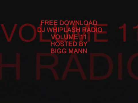 DJ WHIPLASH RADIO VOL 11 HOSTED BY BIGG MANN