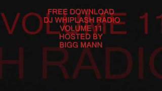 DJ WHIPLASH RADIO VOL 11 HOSTED BY BIGG MANN