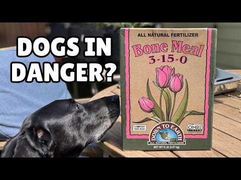 Bone Meal in 100 Seconds