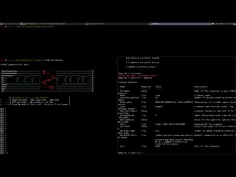 PowerShell Empire - Empire TO Meterpreter ShellCode Injection SSL Tutorial