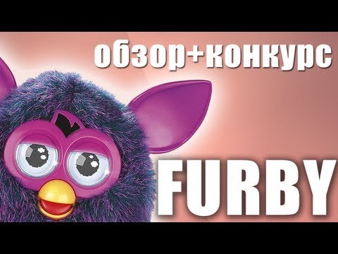 #конкурс завершен | Говорящая няша Furby от добрых роботов с Hi-News.ru. Фото.