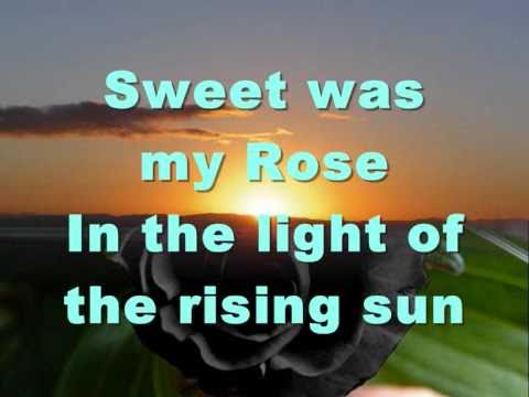 Sweet was my rose - New Velvet Glove