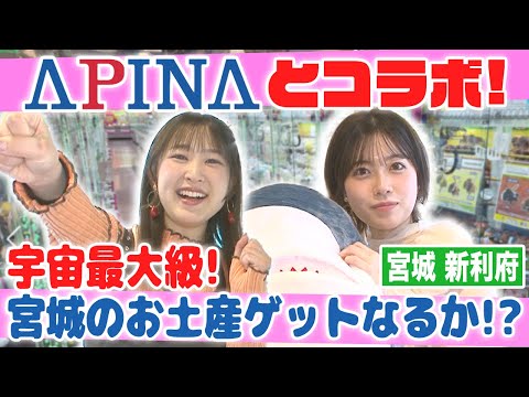 【アピナコラボ】宇宙最大級！？リニューアルオープンしたアピナ新利府　北館店で遊び尽くす！