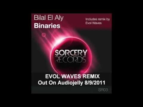 Bilal El Aly - Binaries