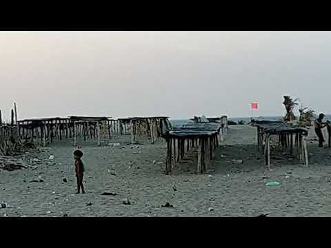 Saint Martin Sea Beach (Full of Dogs) and Fish Dryers (Shutky)
