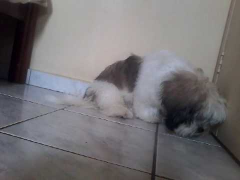 #Latifa com raiva kkkkk