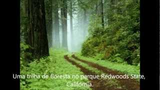 Infantil Mix Brasil 80,90s