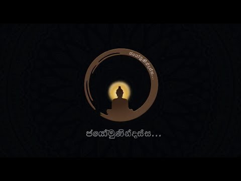 Sunday Meditation Session 06/08/23