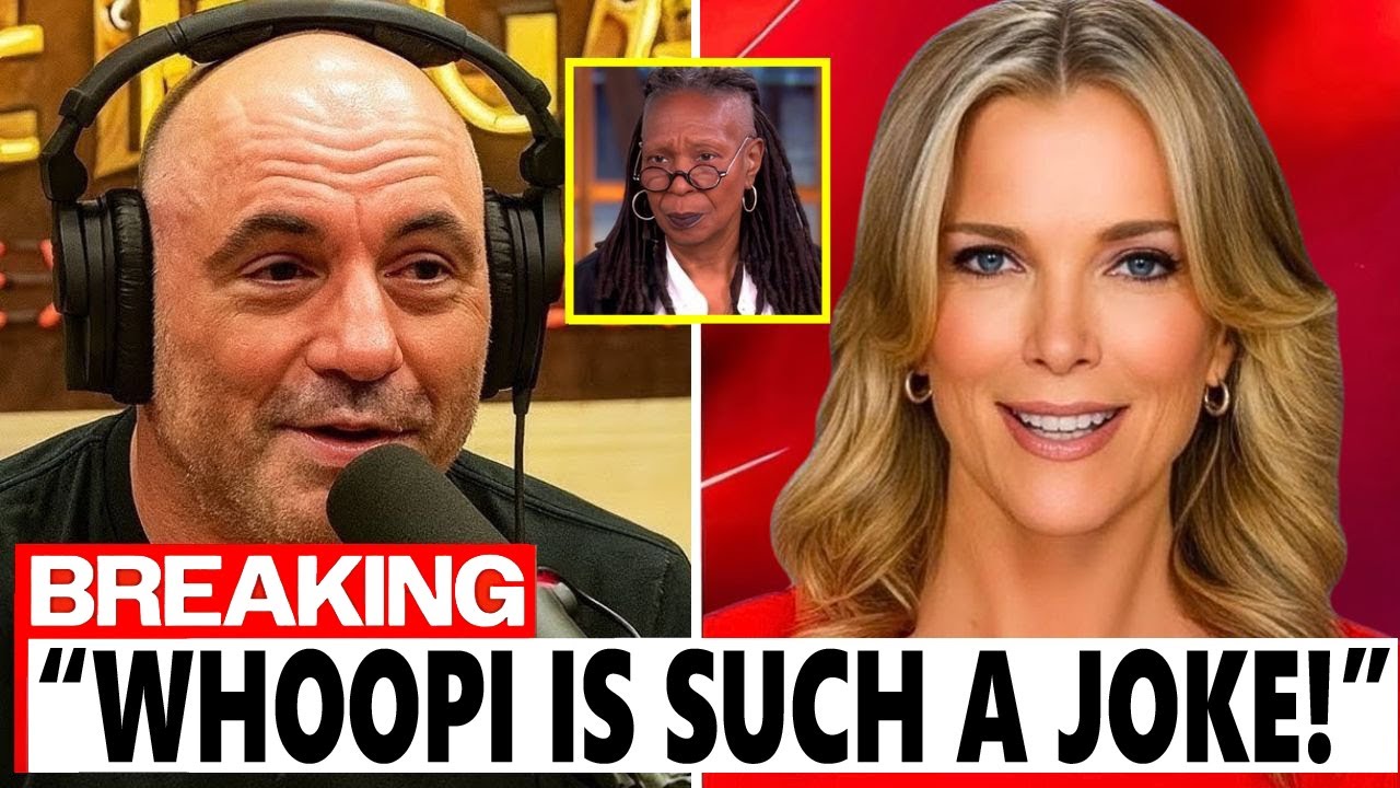 Rogan and Kelly vs. The View: The Epic Takedown That Exposed Daytime TV’s Biggest Hypocrisies - Family Stories