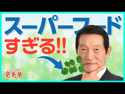モリンガ オライフェラ