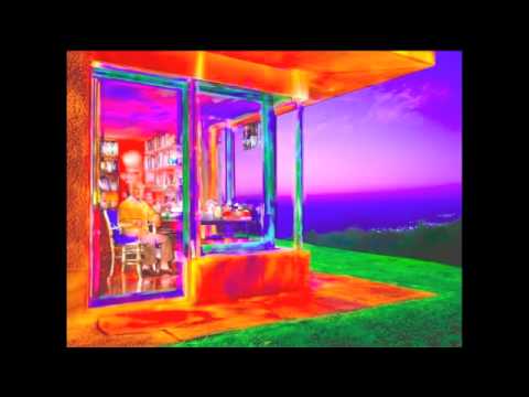 Muggi Dane - Canis Lupis