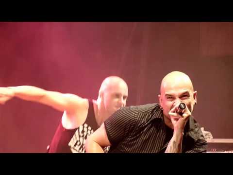 Heilige Bruehder - Gehasst, verdammt, vergöttert