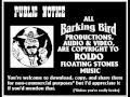 Public Notice Barking Bird Wmv