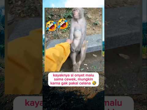 si onyet malu 🤣 #videoshort #viral #trending #comedy #funny