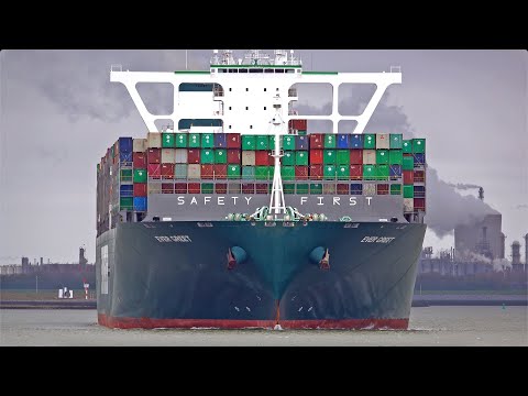MASSIVE SHIPS ARE COMING RIGHT AT YOU - GREAT 4K SHIPSPOTTING WESTERSCHELDE  TERNEUZEN APRIL 2023