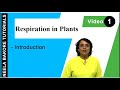 Respiration In Plants NEET Introduction Neela Bakore Tutorials