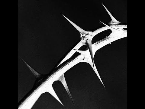 [FREE] Electro Punk x Crystal Castles Type Beat - ‘SPIKE’