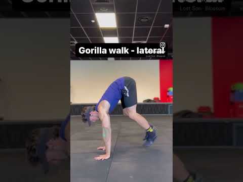 4 Animal Flow Movements #exercise #gym #fitnessworkouts #workout #fitness #chest #animal #animalflow