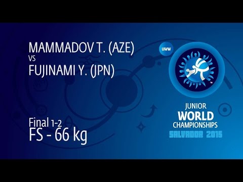 GOLD FS - 66 kg: T. MAMMADOV (AZE) df. Y. FUJINAMI (JPN), 3-4