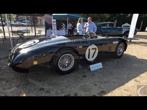 The 1952 Aston Martin DB3 Works Team Sports Racing Two Seater - AMHF