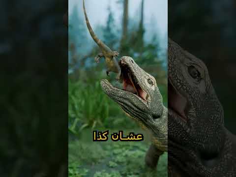 يهرب من أمه عشان يعيش 😲