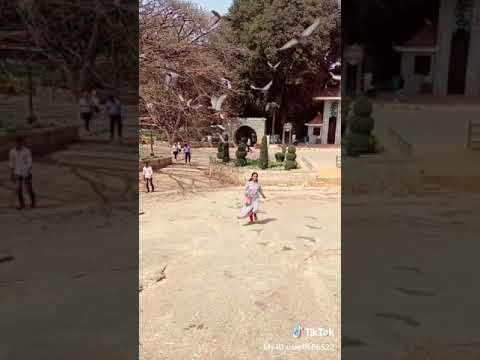 Gagana P In Lalbagh...