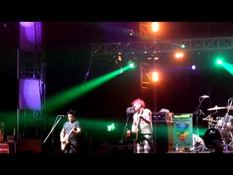 NOFX - Reeko Live @ Sziget Festival, Budapest, Hungary 2014.08.17