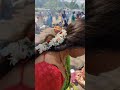 Kambathu Ponnu Girija Sri