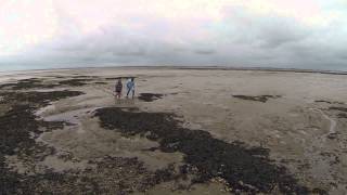 preview picture of video 'Wattenlandschaft Nordsee aus der Luft'