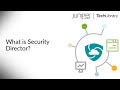What is Security Director?