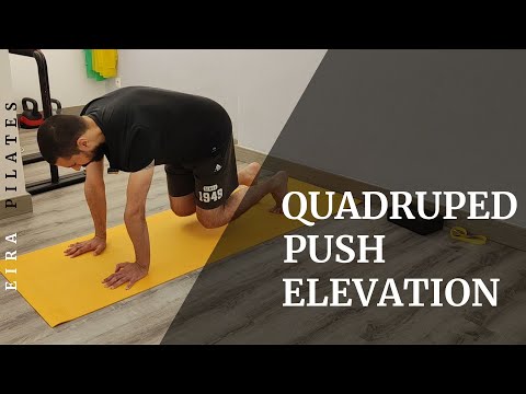 Quadruped Push Elevation