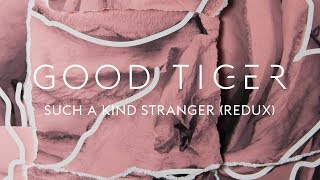 Good Tiger &quot;Such a Kind Stranger (Redux)&quot; (Blacklight Media)